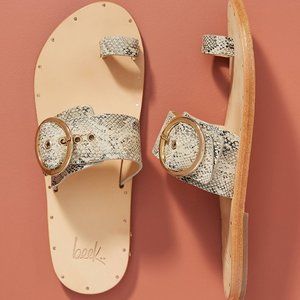 Beeks Swift Sandals - Size 6